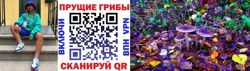 Галлюциногенные грибы ЛСД  Купить закладки  Плёс 
